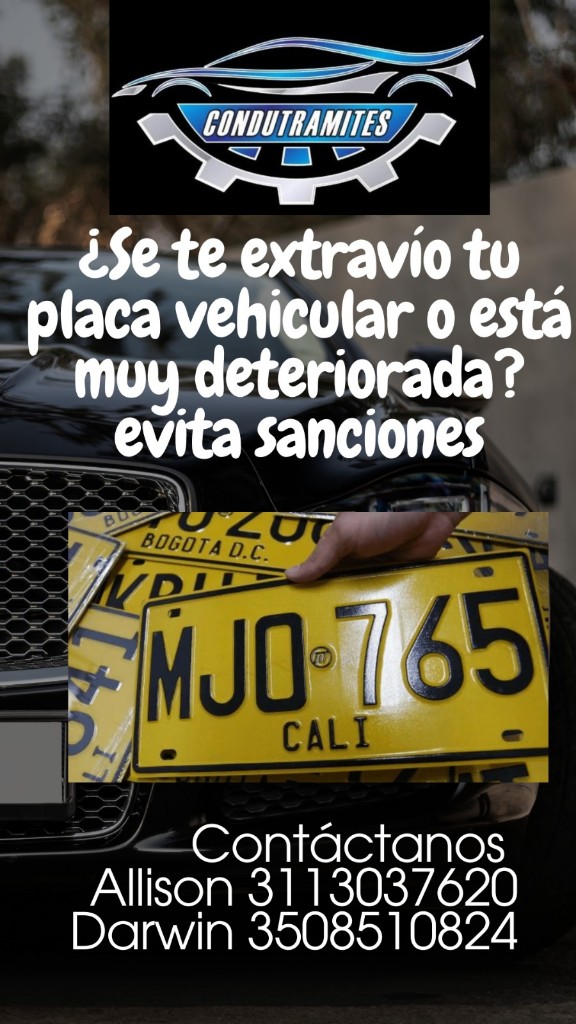 Placa Vehicular Nueva, Legal